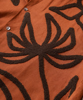 ブラウン / FREEの写真